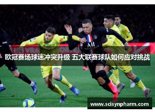 欧冠赛场球迷冲突升级 五大联赛球队如何应对挑战 欧冠赛场球迷冲突升级 五大联赛球队如何应对挑战
