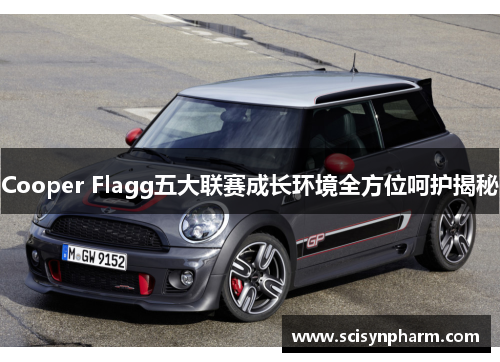 Cooper Flagg五大联赛成长环境全方位呵护揭秘 Cooper Flagg五大联赛成长环境全方位呵护揭秘